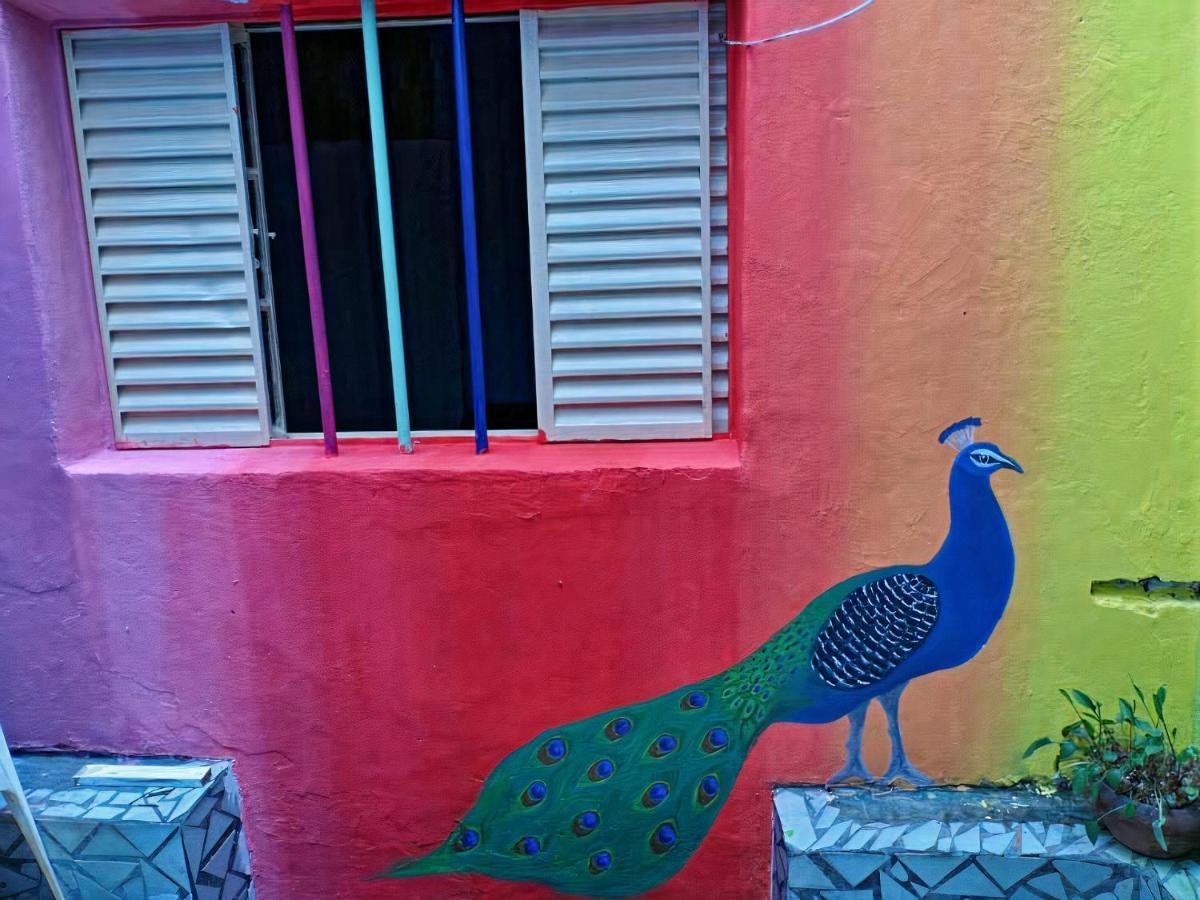 Sao Paulo Wanderlust G Hostel Εξωτερικό φωτογραφία