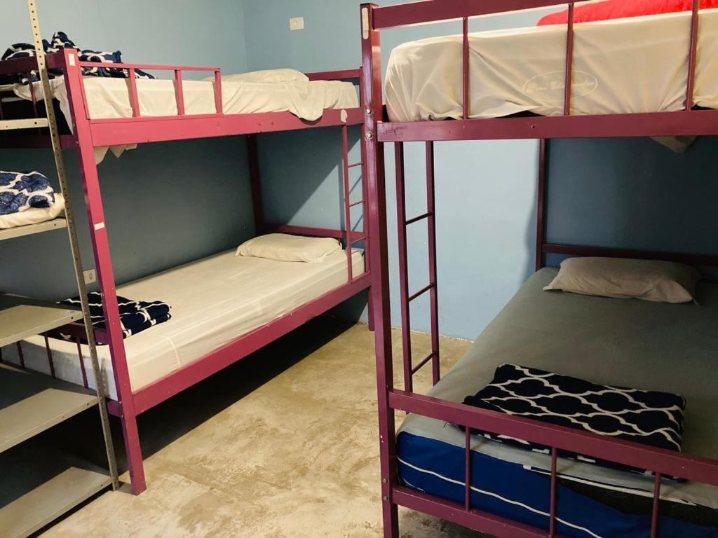 Sao Paulo Wanderlust G Hostel Εξωτερικό φωτογραφία